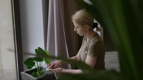 Женщина Мыть Растения Листья Дому — стоковое видео