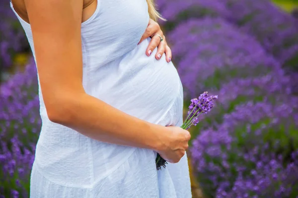 Gravid Flicka Ett Lavendelfält — Stockfoto