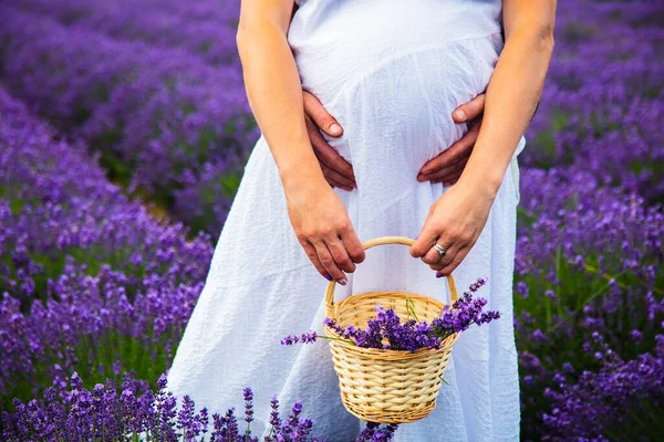 Pregnant Girl Lavender Field — Stock Photo, Image