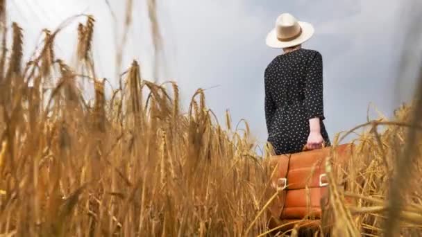 Mujer Vestido Negro Con Maleta Campo Trigo — Vídeos de Stock