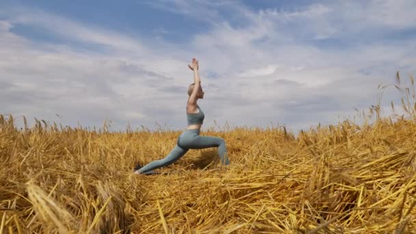 女孩在小麦地里练瑜伽 — 图库视频影像