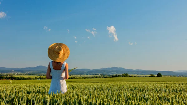 緑の小麦畑に帽子をかぶった若い女の子と背景に山 — ストック写真