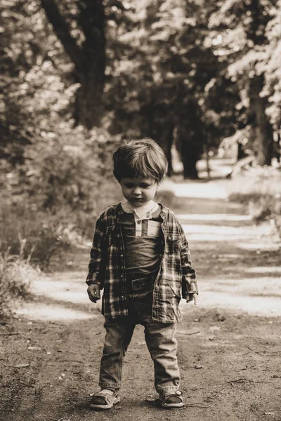 Pequeno Menino Está Caminho Floresta — Fotografia de Stock