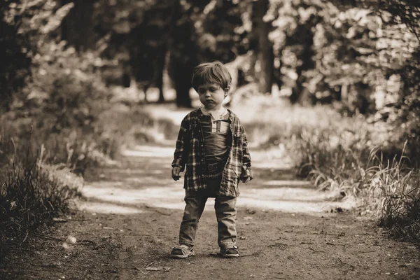 Pequeno Menino Está Caminho Floresta — Fotografia de Stock