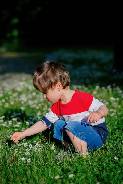 Menino Brincando Com Flores Prado — Fotografia de Stock