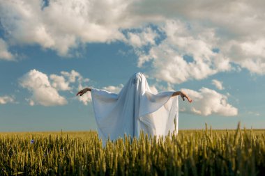 bir buğday tarlasında bir çarşaf içinde sevimli hayalet