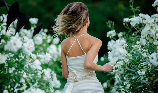 Стиль Женщина Рядом Белые Розы Grarden Весеннее Время — стоковое фото