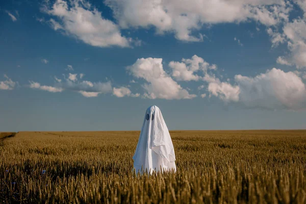 小麦畑のベッドシーツのかわいい幽霊 — ストック写真