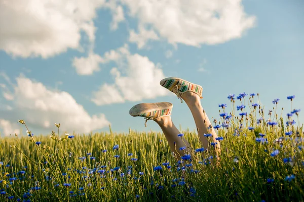 Женские Ноги Спортивной Обуви Встают Пшеничное Поле — стоковое фото