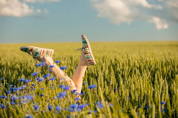 Spor Ayakkabıkadın Bacakları Bir Buğday Tarlasında Kalkmak — Stok fotoğraf