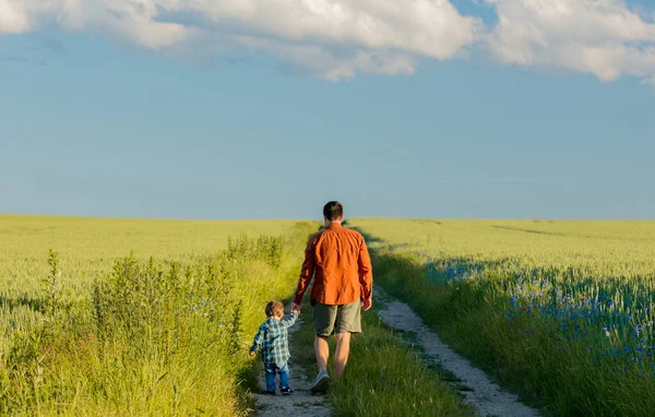 父を持つ少年は小麦畑の間の田舎道を歩いています — ストック写真