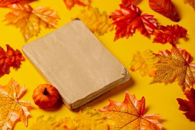 Sarı arka planda sonbahar yaprakları olan romantik kitap ve balkabağı. Üst görünüm