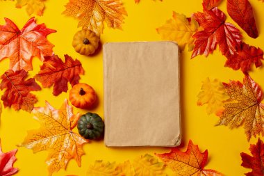 Sarı arka planda sonbahar yaprakları olan romantik kitap ve balkabağı. Üst görünüm