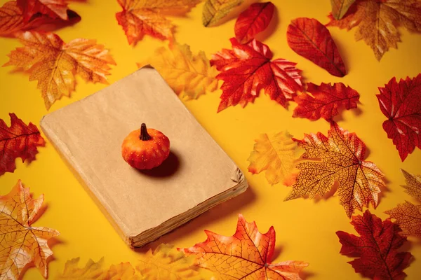 Romantic Book Pumpkin Autumn Leaves Yellow Background Top View — Stock Photo, Image