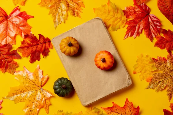 Livre Romantique Citrouille Avec Des Feuilles Automne Sur Fond Jaune — Photo