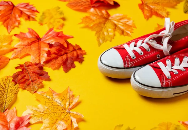 红色的胶鞋 秋天的叶子黄色背景 顶部视图 — 图库照片
