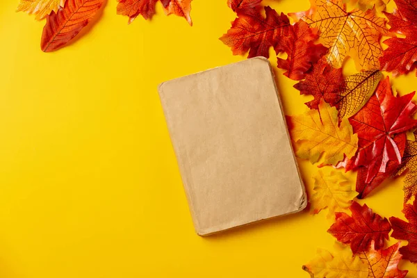 Romantyczna Książka Jesiennymi Liśćmi Żółtym Tle Widok Góry — Zdjęcie stockowe