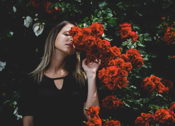 kırmızı ve beyaz gül çalı yakın genç kız