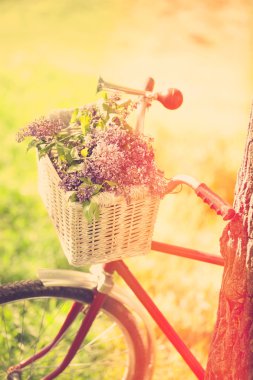 vintage Bisiklet ağacının yanında bekliyor