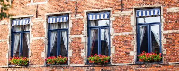 Ventanas en Bélgica casa . — Foto de Stock