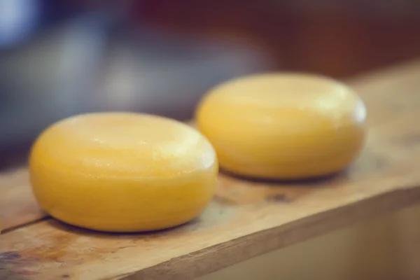 Голландский сыр на доске — стоковое фото