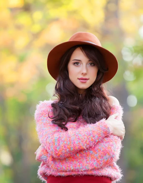 Chica morena en suéter rosa en el parque de otoño . —  Fotos de Stock