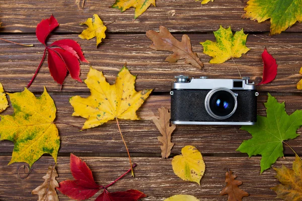 Autumn leafs and camera on wooden table. — Stock Photo, Image