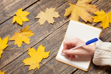 Bir şeyler Not yazılı olarak el 