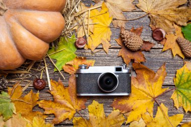 Sonbahar masada Vintage fotoğraf makinesi.