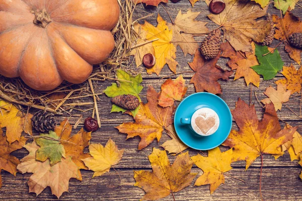 Pompoen, bladeren, kastanjes met kegel en kopje koffie op een woode — Stockfoto