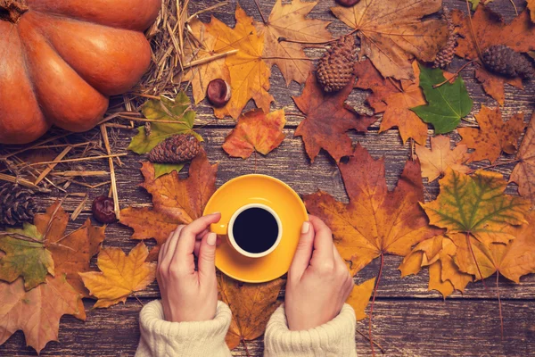 Sonbahar arka planında elinde bir fincan kahve tutan kadın.. — Stok fotoğraf