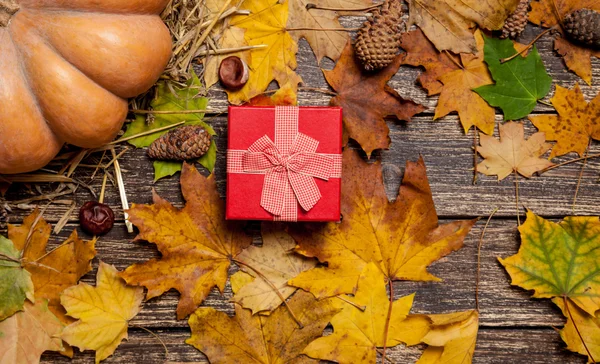 Scatola regalo su sfondo autunno . — Foto Stock