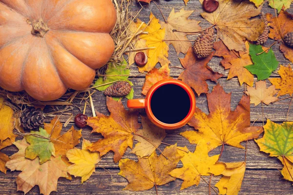 Kürbis, Blätter, Kastanien mit Zapfen und Tasse Kaffee auf einem Holz — Stockfoto