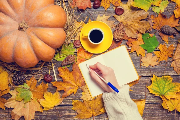 Female hand wrinig something in notebook on autumn background. — Stock Photo, Image