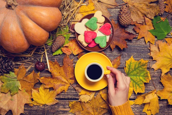 Female holding cup of coffee near cookies on autumn background. — Stock Photo, Image