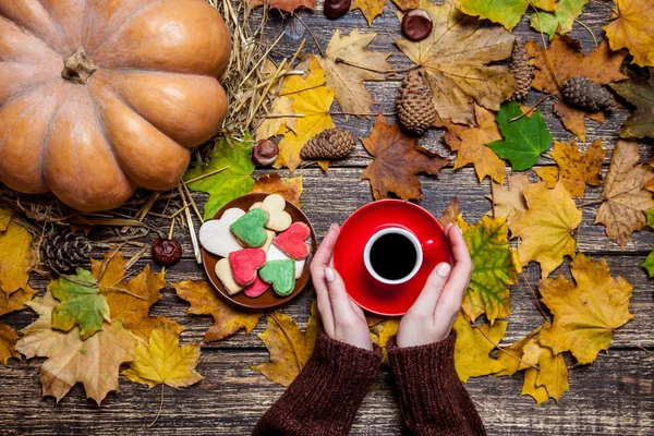 Weibchen halten Tasse Kaffee in der Nähe von Keksen auf herbstlichem Hintergrund. — Stockfoto