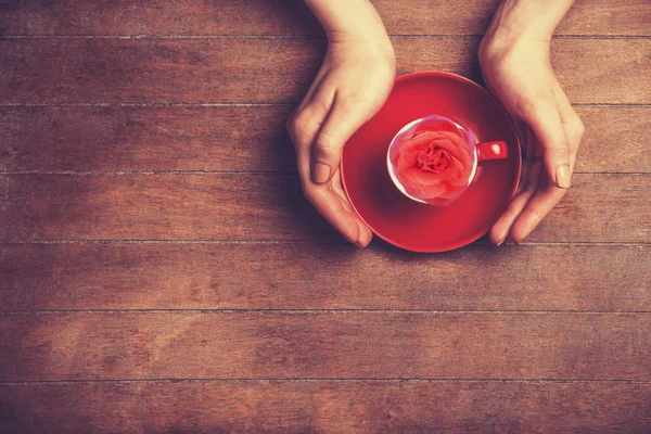 Female holding cup with flower. — Stock Photo, Image