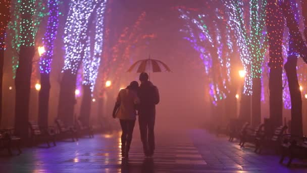 Couple with suitcase kissing at night alley — Stock Video