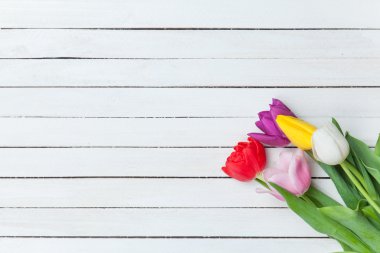 farklı renklerde laleler 