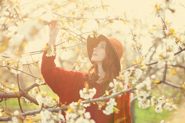 女人在开花苹果树木园 — 图库照片