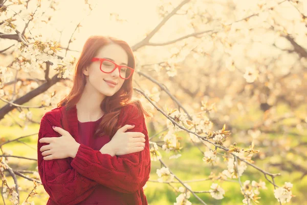 Kvinna i blossom apple träd trädgård — Stockfoto