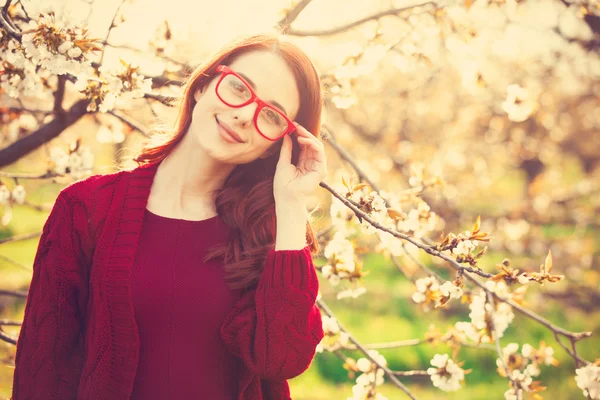花リンゴ果樹園の女性 — ストック写真