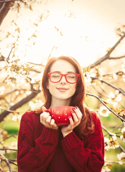 Woman in blossom apple tree garden — Stock Photo, Image