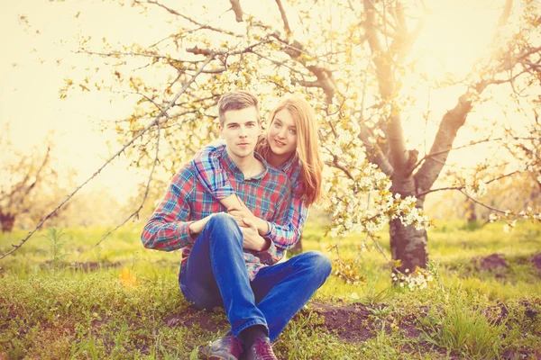 Para w ogrodzie drzewa apple blossom — Zdjęcie stockowe