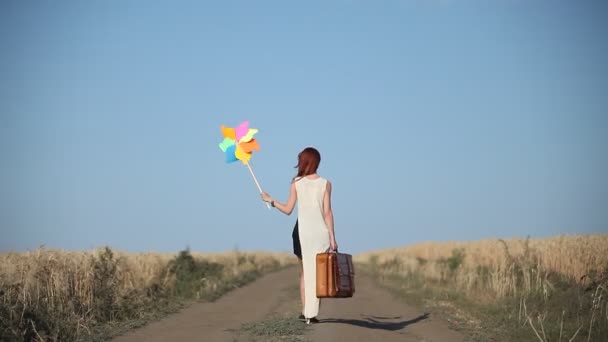 Girl with suitcase and wind toy at countryside — ストック動画