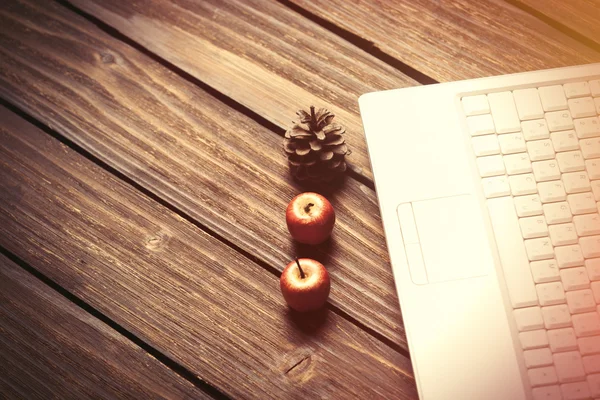 Ordenador portátil y manzanas con conos de pino —  Fotos de Stock