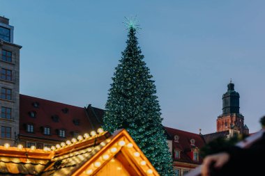 Wroclaw 'daki eski kasaba pazarında Noel ağacı. Polonya, Avrupa