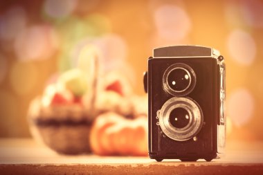 Vintage fotoğraf makinesi ve kabak
