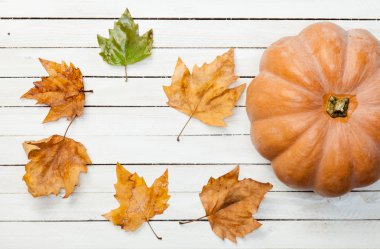 kabak ve yaprakları