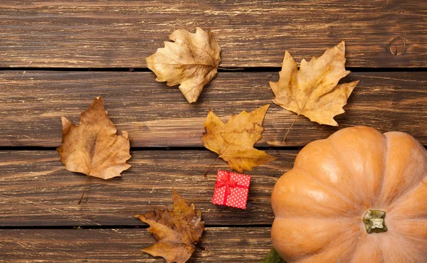 Zucca e foglie con regalo — Foto Stock
